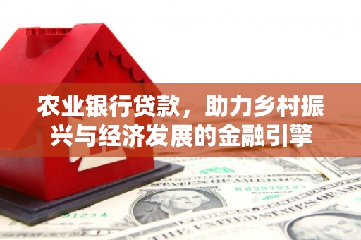 雷州农业银行贷款，助力乡村振兴与经济发展的金融引擎