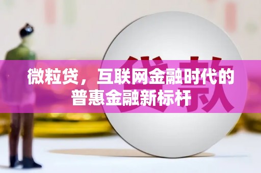 雷州微粒贷，互联网金融时代的普惠金融新标杆