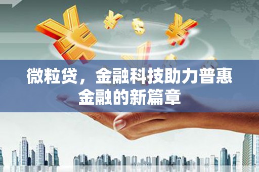 雷州微粒贷，金融科技助力普惠金融的新篇章