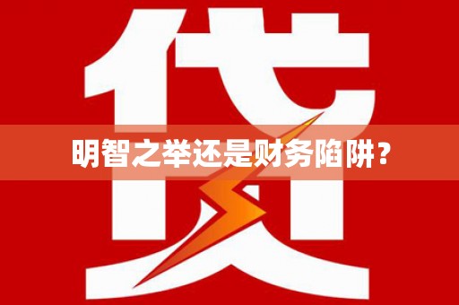 雷州明智之举还是财务陷阱？