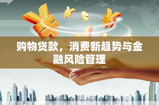 雷州购物贷款，消费新趋势与金融风险管理