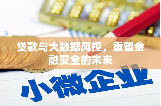 雷州贷款与大数据风控，重塑金融安全的未来