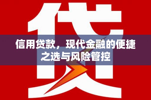 雷州信用贷款，现代金融的便捷之选与风险管控