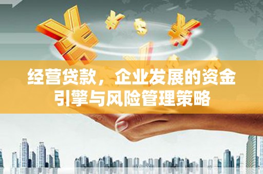 雷州经营贷款，企业发展的资金引擎与风险管理策略