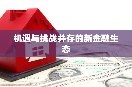 雷州机遇与挑战并存的新金融生态