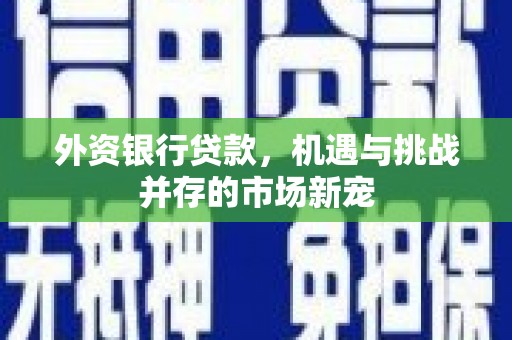 雷州外资银行贷款，机遇与挑战并存的市场新宠