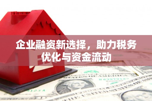 雷州企业融资新选择，助力税务优化与资金流动