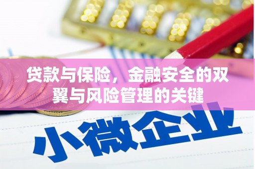 雷州贷款与保险，金融安全的双翼与风险管理的关键