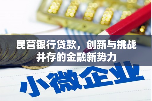 雷州民营银行贷款，创新与挑战并存的金融新势力