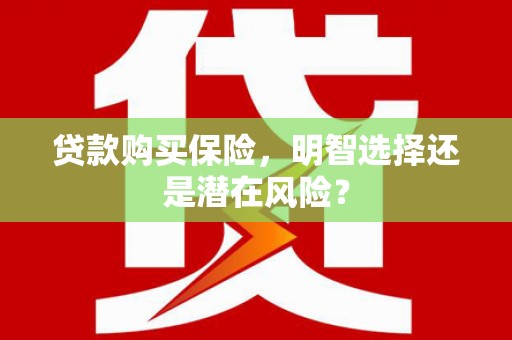 雷州贷款购买保险，明智选择还是潜在风险？