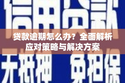 雷州贷款逾期怎么办？全面解析应对策略与解决方案