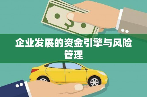 雷州企业发展的资金引擎与风险管理