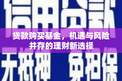 雷州贷款购买基金，机遇与风险并存的理财新选择