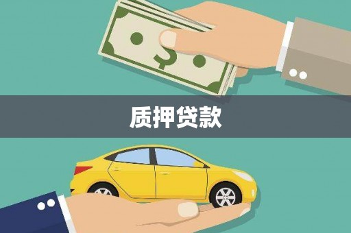 雷州质押贷款