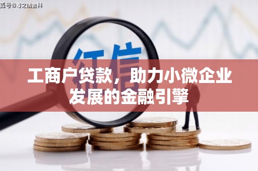 雷州工商户贷款，助力小微企业发展的金融引擎