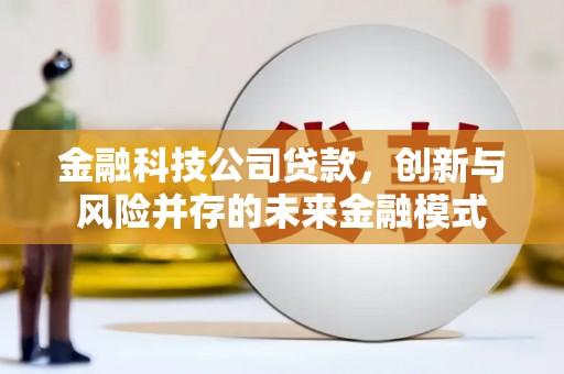雷州金融科技公司贷款，创新与风险并存的未来金融模式
