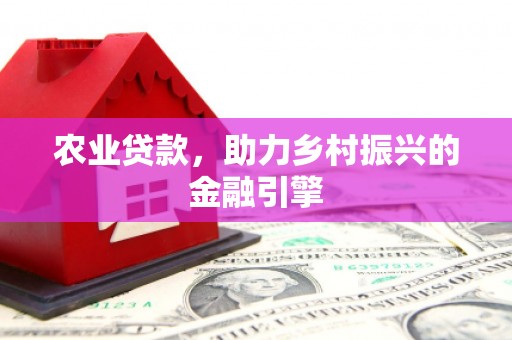 雷州农业贷款，助力乡村振兴的金融引擎