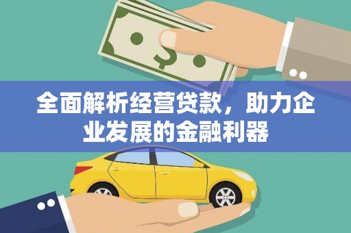 雷州全面解析经营贷款，助力企业发展的金融利器