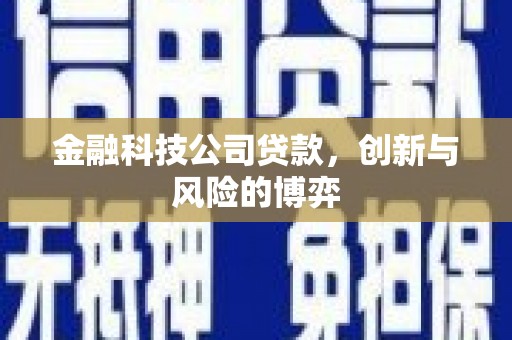 雷州金融科技公司贷款，创新与风险的博弈