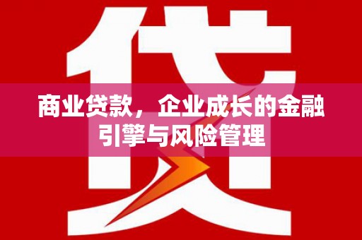 雷州商业贷款，企业成长的金融引擎与风险管理