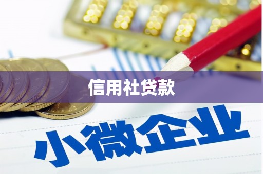 雷州信用社贷款