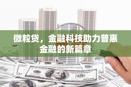 雷州微粒贷，金融科技助力普惠金融的新篇章