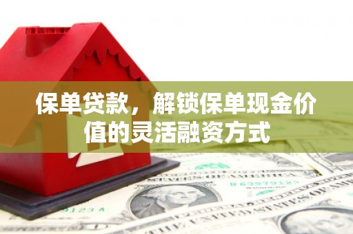 雷州保单贷款，解锁保单现金价值的灵活融资方式