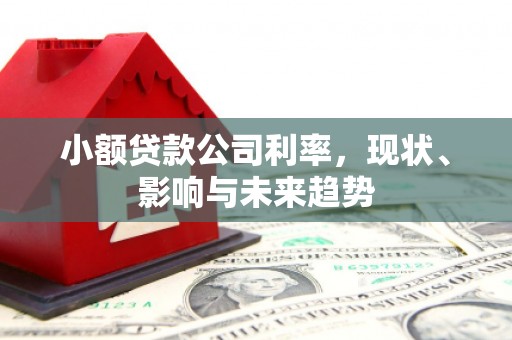 雷州小额贷款公司利率，现状、影响与未来趋势