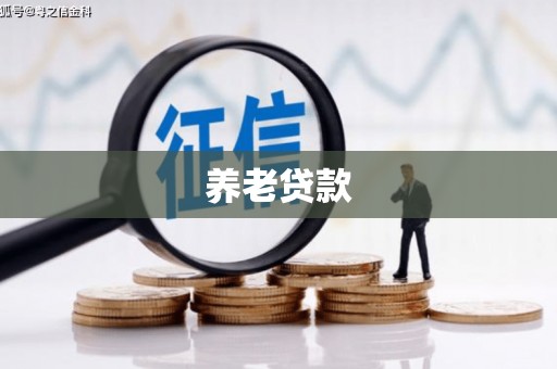 雷州养老贷款