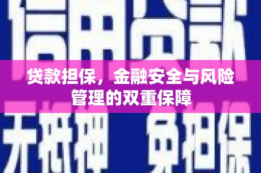 雷州贷款担保，金融安全与风险管理的双重保障