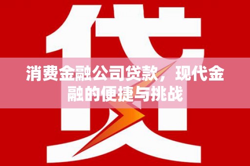 雷州消费金融公司贷款，现代金融的便捷与挑战