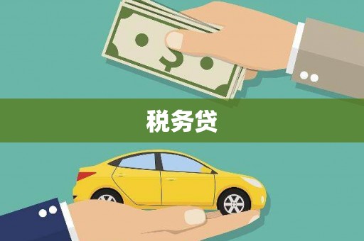 雷州税务贷