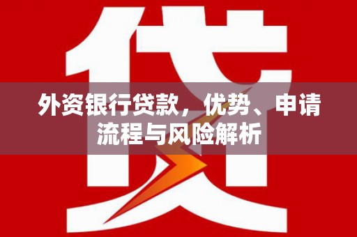 雷州外资银行贷款，优势、申请流程与风险解析