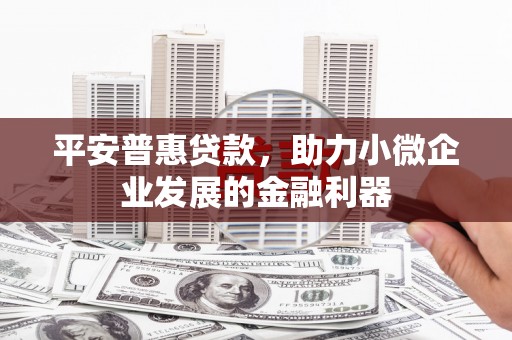 雷州平安普惠贷款，助力小微企业发展的金融利器