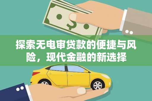 雷州探索无电审贷款的便捷与风险，现代金融的新选择