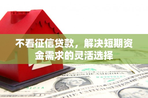 雷州不看征信贷款，解决短期资金需求的灵活选择