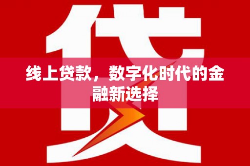 雷州线上贷款，数字化时代的金融新选择