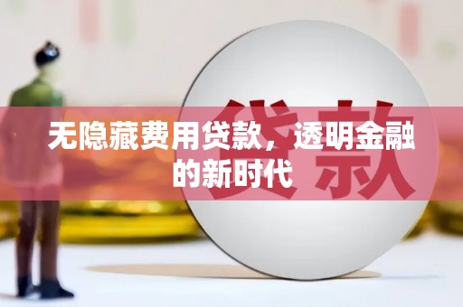 雷州无隐藏费用贷款，透明金融的新时代