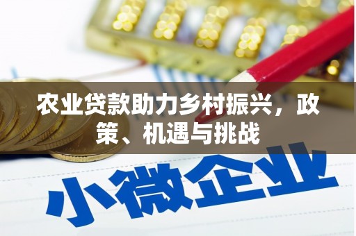 雷州农业贷款助力乡村振兴，政策、机遇与挑战