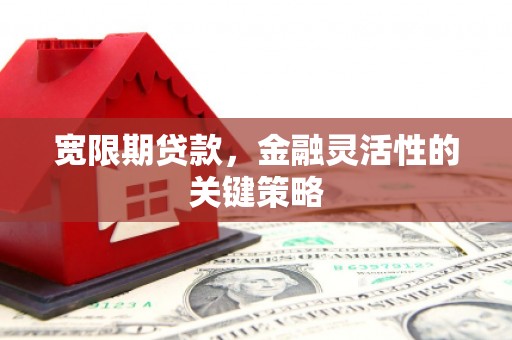 雷州宽限期贷款，金融灵活性的关键策略
