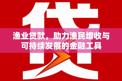 雷州渔业贷款，助力渔民增收与可持续发展的金融工具