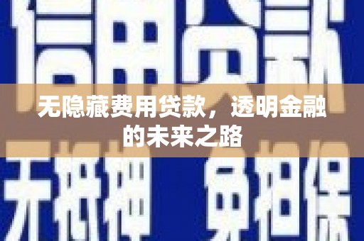雷州无隐藏费用贷款，透明金融的未来之路