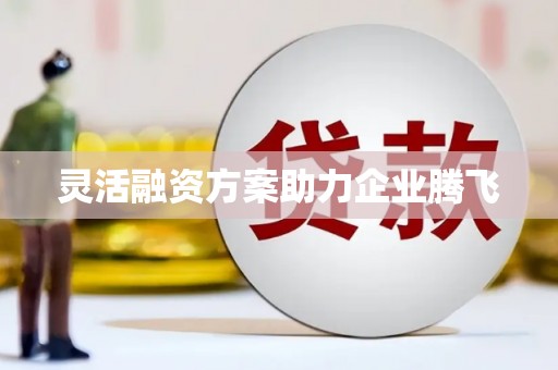 雷州灵活融资方案助力企业腾飞