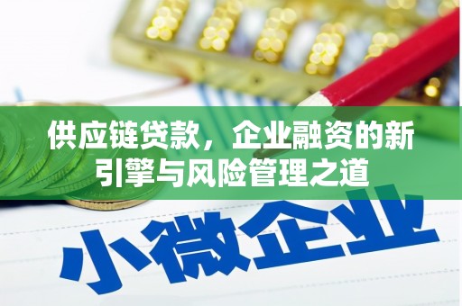 雷州供应链贷款，企业融资的新引擎与风险管理之道