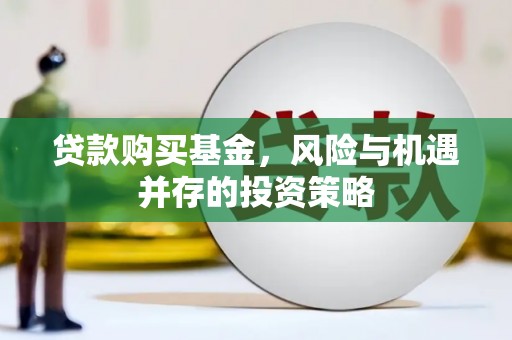 雷州贷款购买基金，风险与机遇并存的投资策略