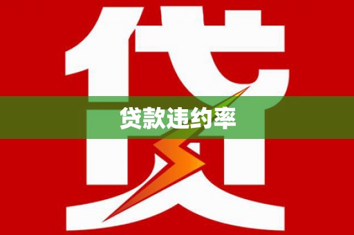 雷州贷款违约率