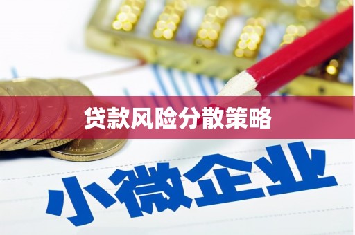 雷州贷款风险分散策略