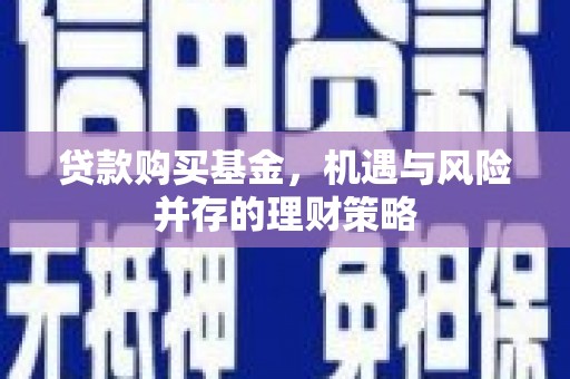 雷州贷款购买基金，机遇与风险并存的理财策略