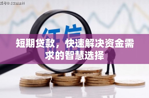 雷州短期贷款，快速解决资金需求的智慧选择