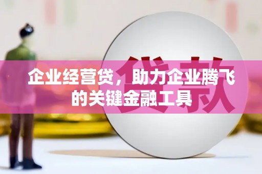 雷州企业经营贷，助力企业腾飞的关键金融工具